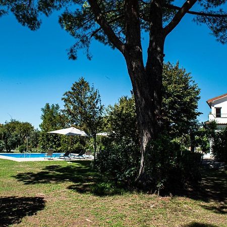Terre Etrusche Guest House-Terme -3 Minuti Da Viterbo Centro Exterior foto