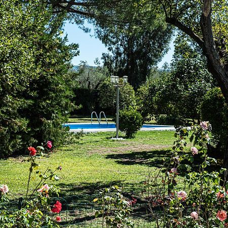 Terre Etrusche Guest House-Terme -3 Minuti Da Viterbo Centro Exterior foto