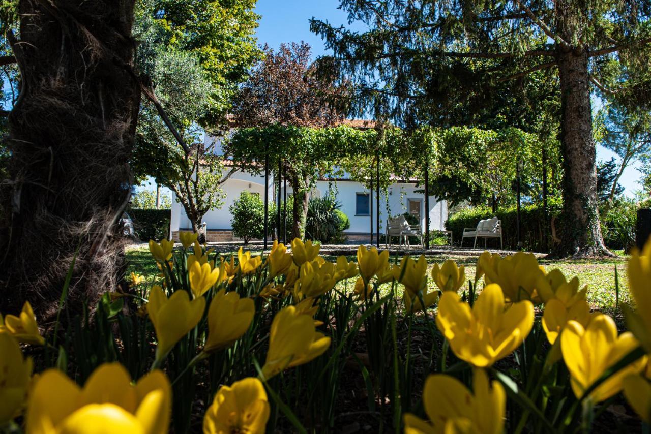 Terre Etrusche Guest House-Terme -3 Minuti Da Viterbo Centro Exterior foto